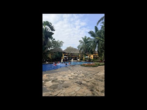 Berenang