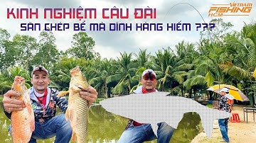 Câu Đài - Chia sẽ kinh nghiệm câu chép bể - chép cụ.