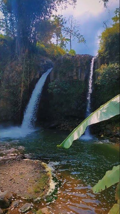 Indahnya Suasana Desa dengan Sawah dan Air Terjun yang mengalir | Story WA Pemandangan Alam #Short