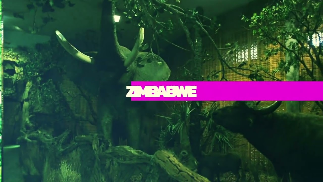 Jozef Behr : Natural History Museum of Zimbabwe