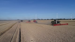 Jahresrückblick 2020 - Hof Perlitz