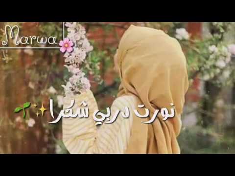 شكرا يا ربي شكرا هديت قلبي حالات واتس اب يا منزل القرآن مقاطع انستقرام دينيه قصيرة