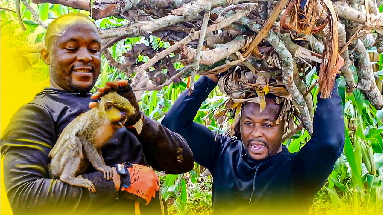 Видеоблог об африканской деревне 🌍 Урожай, природа, семья и момент внутреннего покоя