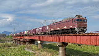 EF81-717 貨物列車 高城〜鶴崎