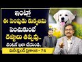 Mind Money Psychology 73 | Money Concepts by Dr Bandi Vishweswar Reddy | Pet Dogs for Adoption