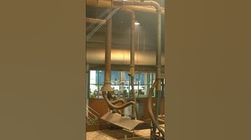 Discover the production of OSB boards 🌳 #OSB #SWISSKRONO