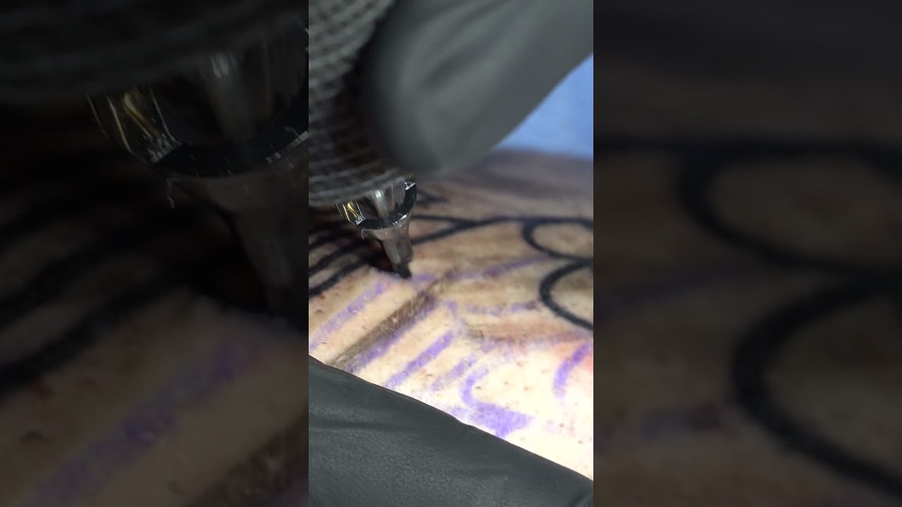 outline a traditional eagle