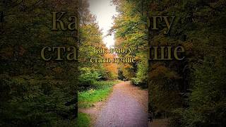 Как я могу стать лучше? #саморазвитиеличности #личностныйрост #станьлучше #мотивация