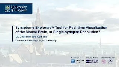 Synaptome Explorer for real-time visualization of the mouse brain, at single-synapse resolution