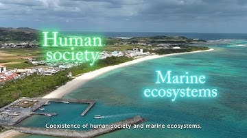 【NTT】Marine-ecosystem future-forecasting technology to support sustainable aquaculture
