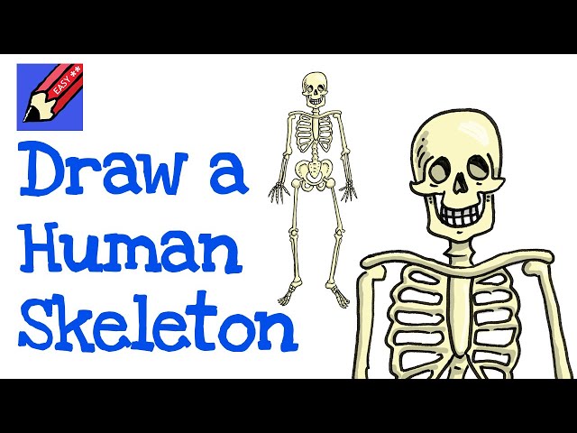 Skeletal system | Psychology Wiki | Fandom