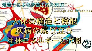 #37の②【人体の構造と機能及び疾病の成り立ち_生体エネルギーと代謝】Energy and Metabolism