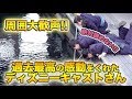 大歓声!! 過去最高の感動をくれたキャストさんの救出劇 / 東京ディズニーシー