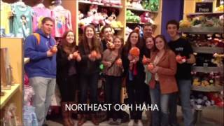 NFTY-NE Cheer
