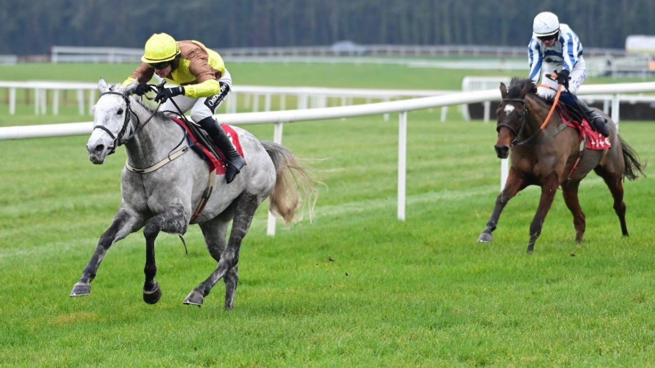 Plenty of drama in this beginners' chase at Punchestown! | Racing TV