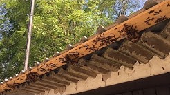 Beste Spielothek in Rubmannsberg finden Beste Spielothek in Rubmannsberg finden
