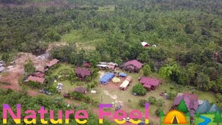 Nature feel music 🌳🏕️🏞️ screenshot 4