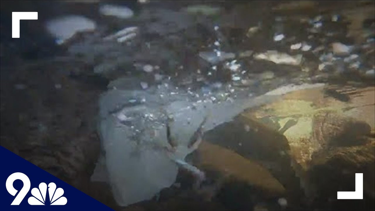 6,000 greenback cutthroat trout introduced into Clear Creek fork