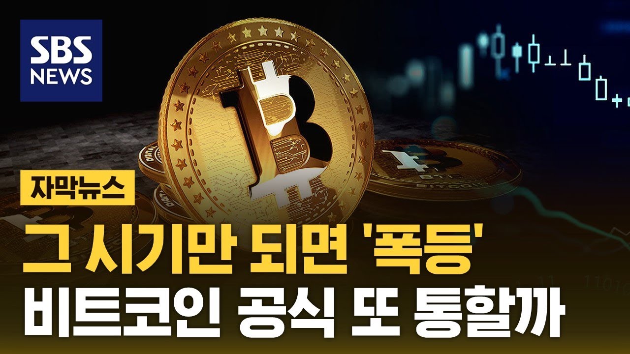 매번 그 시기만 되면…비트코인, 이번에도 폭등할까? (자막뉴스) / SBS