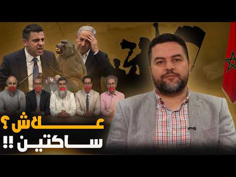 قرود البابون وصف مهين للمغاربة لماذا اختار تجار الوطنية الهروب إلى الصمت