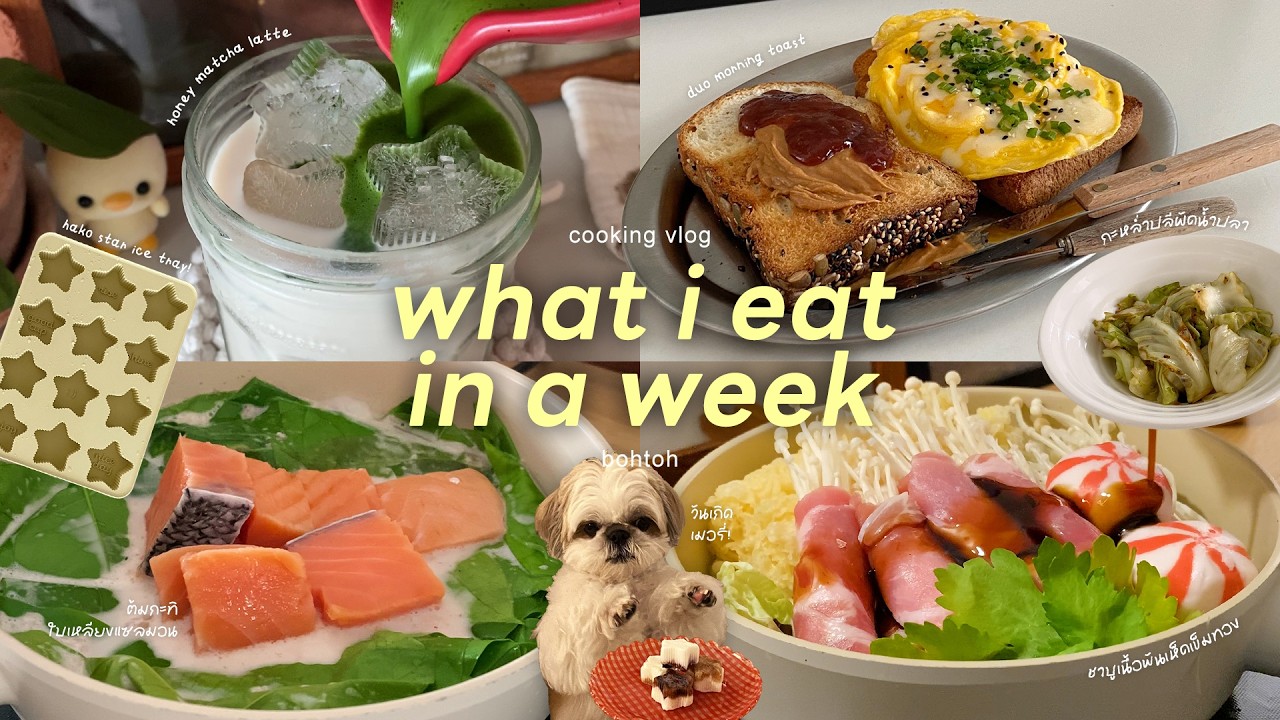 cooking vlog | ชวนมาทำต้มกะทิใบเหลียงแซลมอน 🌿🍣 กะหล่ำปลีผัดน้ำปลา 🥬 ฉลองวันเกิดน้องรี่ 🐶🎂💖 (eng sub)