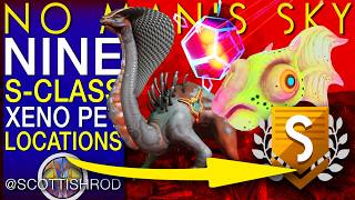 Nine WEIRD S-Class Xeno Pets - The Arena League - No Man's Sky Update - NMS Scottish Rod