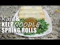 Spring Rolls- Kale and Kelp Noodles