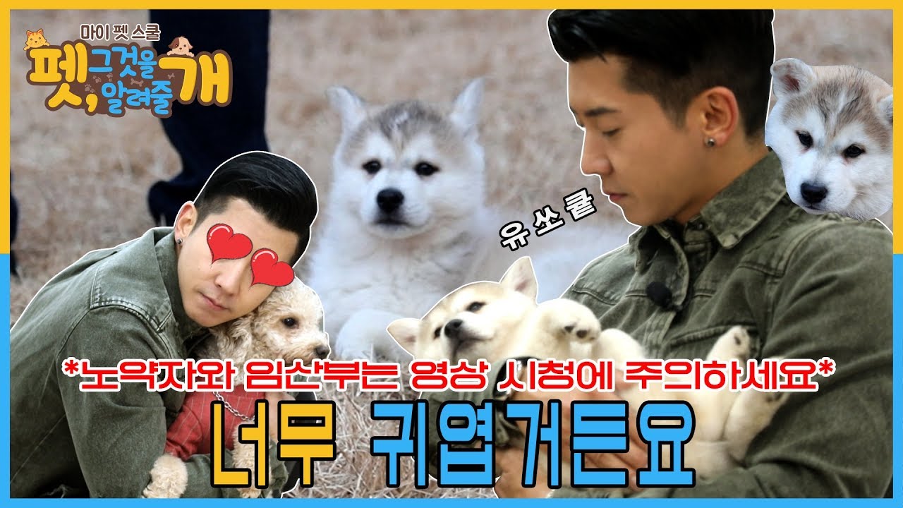 ※심쿵사 주의※ 댕댕이 최다 출연! 브라이언, 귀여움에 호흡곤란 증세 보여... [펫, 그것을 알려줄개 EP. 4]