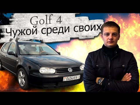 Video: Kush golfon më mirë në pishat e tortës?