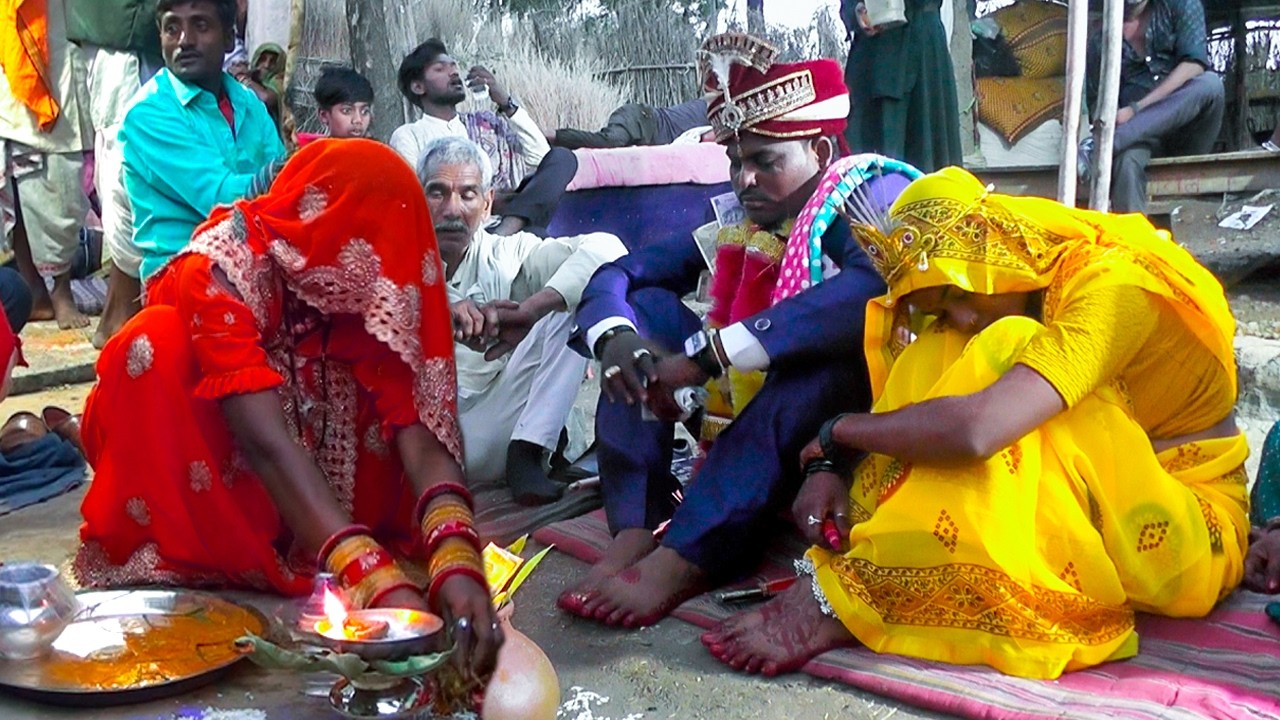 Indian Bagheli Shadi Narendra Weds Pooja Ka Vivah Jaimala & Chadav Ki Rasam #weddingvideo