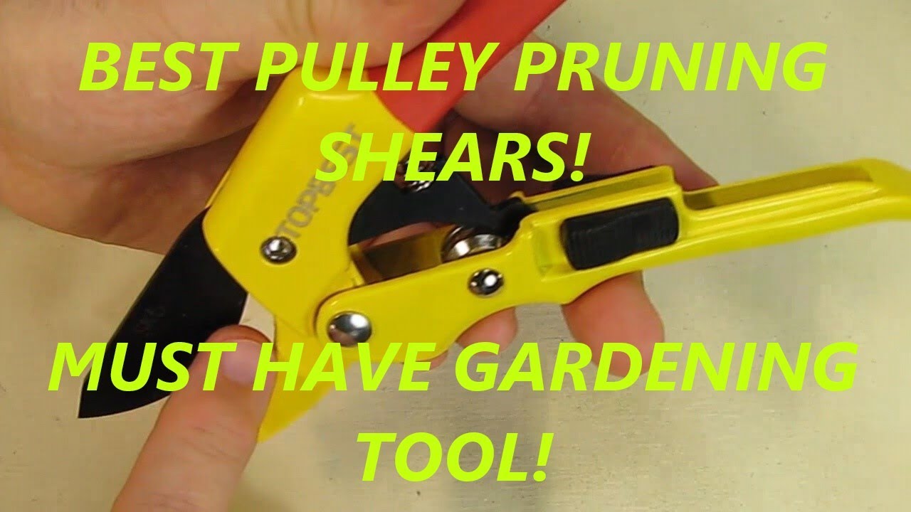 TOP QUALITY Pulley Pruning Shears Ideal Garden Hedge Tree Clippers REVIEW