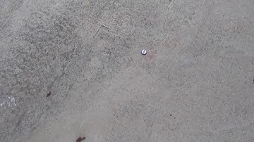 Tarsacci unmasking a quarter under crown cap