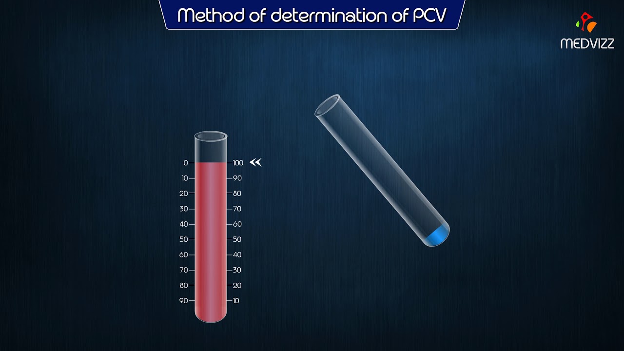 packed cell volume test procedure