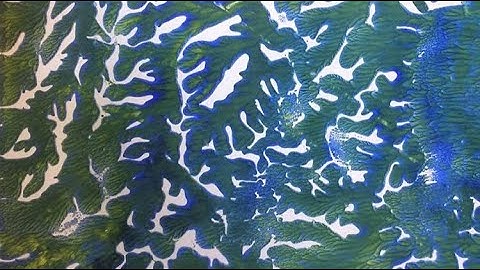 Dendritic monoprinting