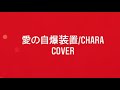 愛の自爆装置/CHARA/COVER