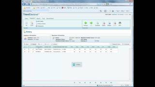 TC6 Minilesson Timesheet entry with no preload