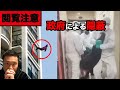 【やはり隠蔽してた】中国政府の情報統制。新型コロナウイルスに関する真実はSNSから削除・アカウント停止。身柄の拘束も強行！武漢は地獄