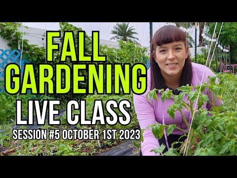 LIVE Garden Class - Trellising & Pruning Tomatoes #garden # ...