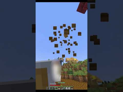 Alguien sabe quién fue? #minecraft #minecraftshorts #humor #humorviral #hierro #mundo #server