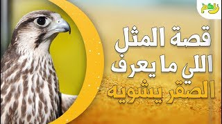 قصة مثل ( اللي ما يعرف الصقر ) اكتشف السبب وراء هذا المثل الشهير| لكم