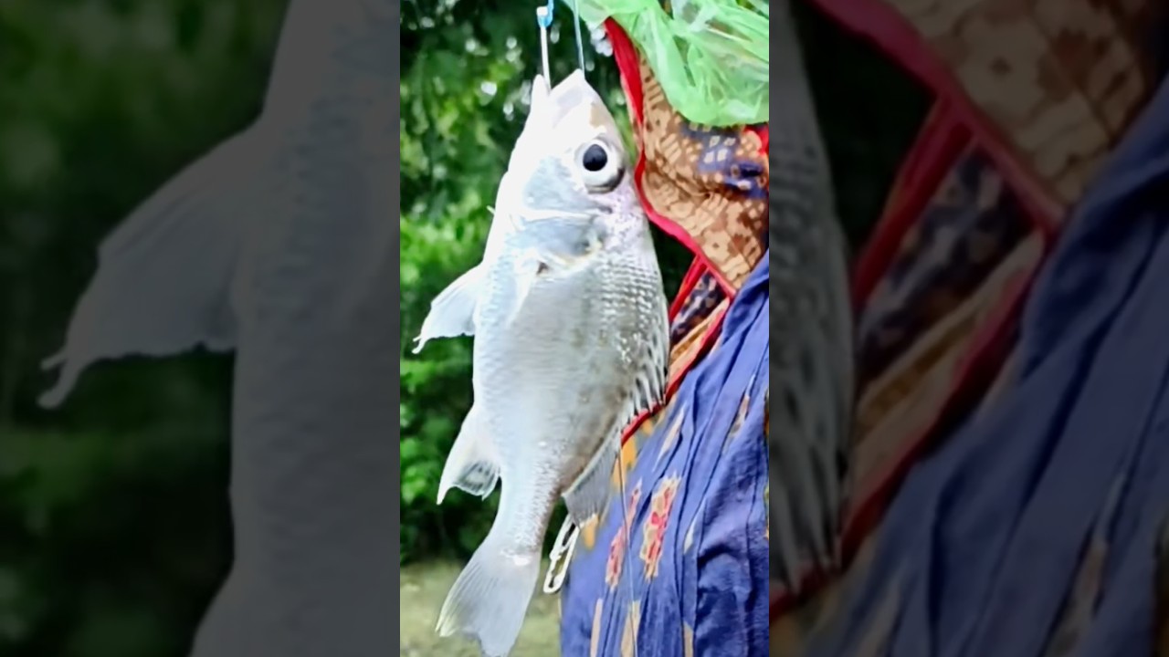 river fishing video | 