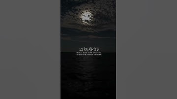 #تلاوة_خاشعة #القرآن_الكريم #quran #قرآن #تلاوات #تلاوة  #القرآن #ايات_قرانيه_قصيره#آيات