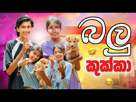 බලු කුක්කා 😂💔| Balu Kukka | Sinhala Comedy @maleesha_f @NethuDancer_GMN