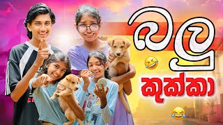 බලු කුක්කා 😂💔| Balu Kukka | Sinhala Comedy @maleesha_f @NethuDancer_GMN 