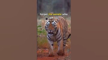 Forget the People who left You #motivation #mentality #sigma #mindset