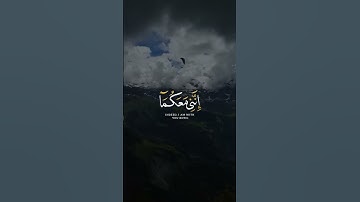 قال لا تخافا إنني معكما أسمع وأرى   تلاوة جميلة من القارئ محمد🤍   قرآن كريم