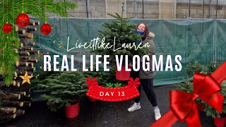 Will I finally get a Christmas Tree? | Day 13 | LiveitlikeLauren