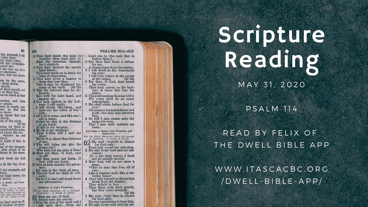 чтение картинки. We may be reading. Comprehension for kids. Why reading is important. Hr стратегия картинки.