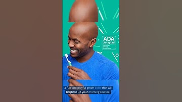 Quip Adult Electric Toothbrush