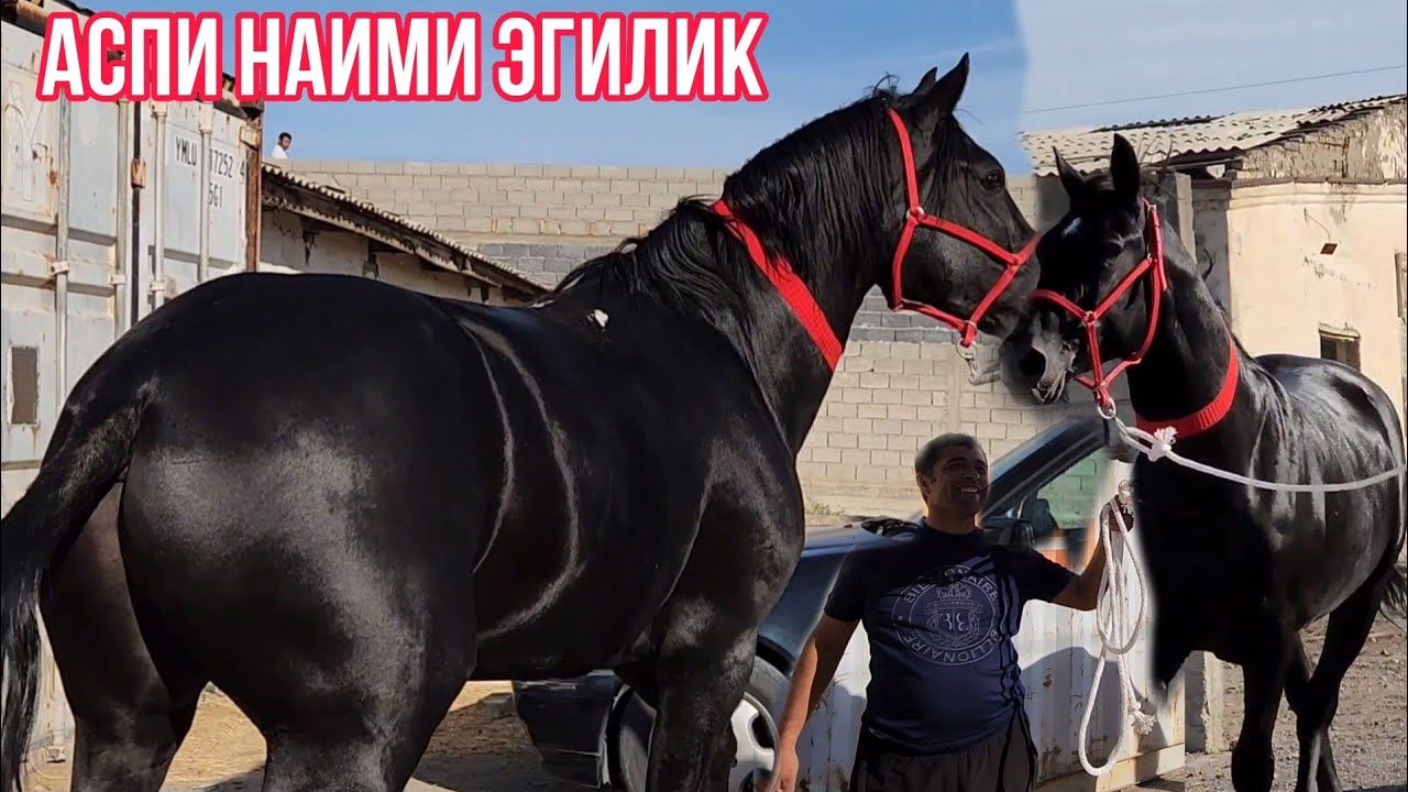 - YouTube